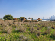 تجدد مسلسل نبش وانتهاك حرمة مقبرة الشيخ مونّس قضاء يافا